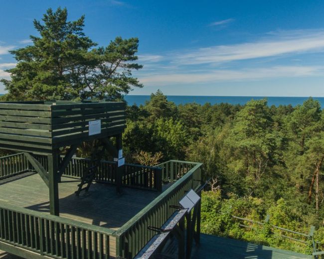 Attractions of the area